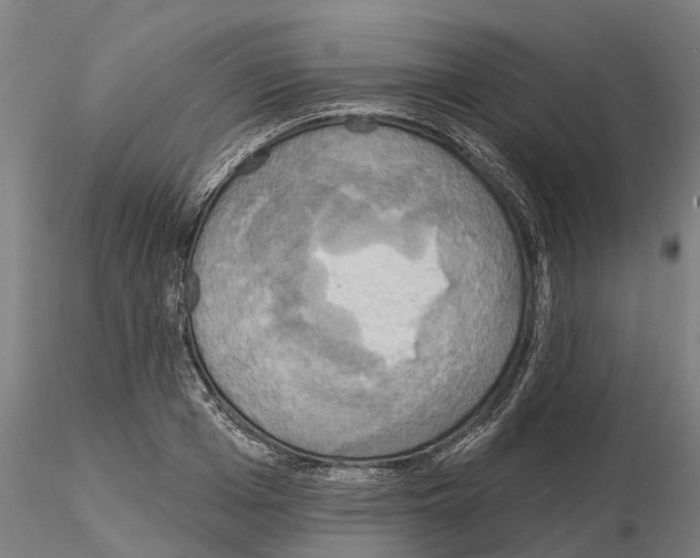 X0000114720985200912021150