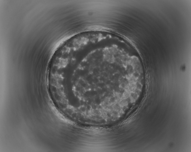 X0000114720987200912021150