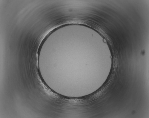 X0000114720988200912021150