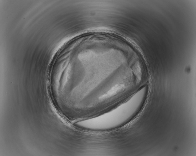 X0000114720989200912021150