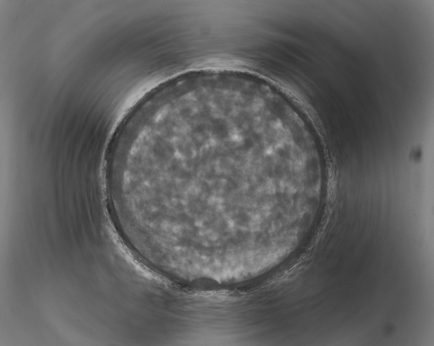 X0000114720990200912021150