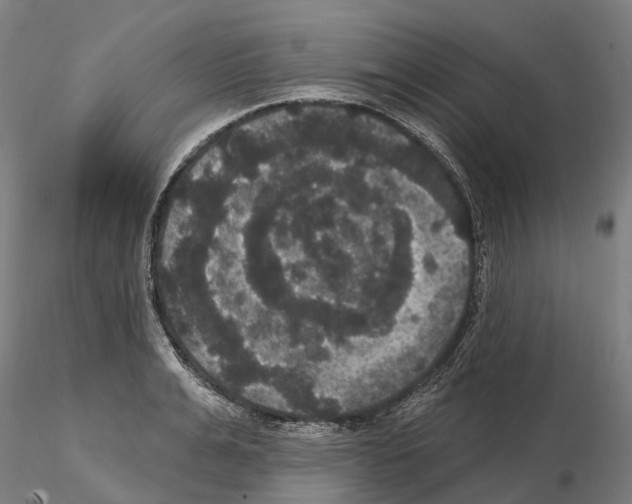 X0000114720991200912021150