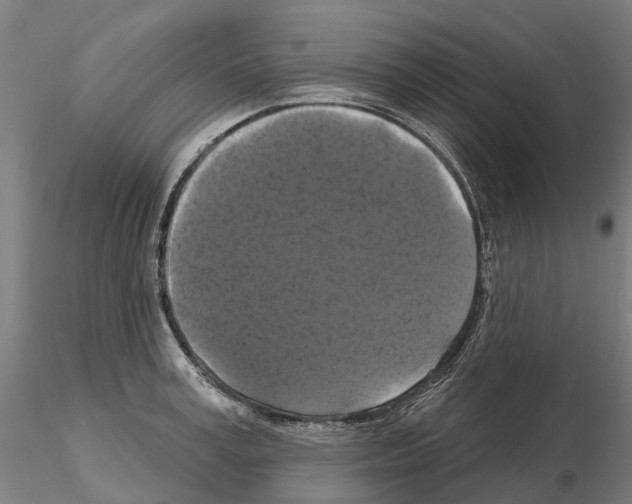 X0000114720995200912021150