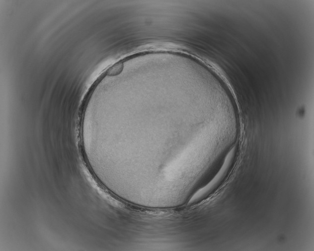 X0000114720997200912021150