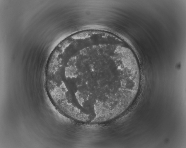 X0000114720999200912021150