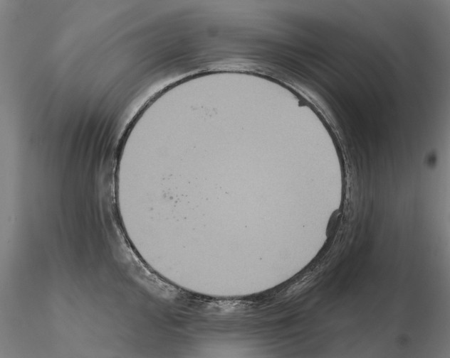 X0000114721000200912021150