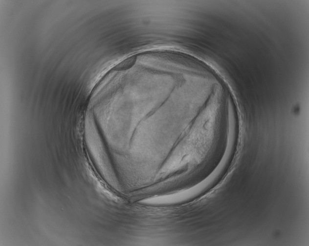 X0000114721001200912021150