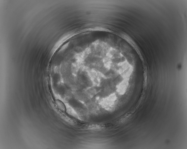 X0000114721002200912021150