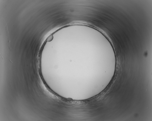 X0000114721003200912021150