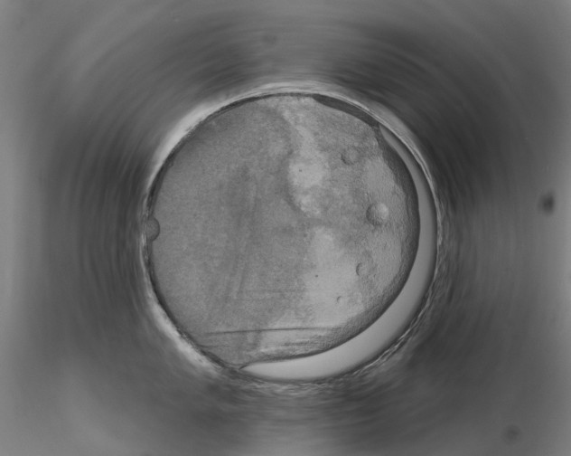 X0000114721005200912021150