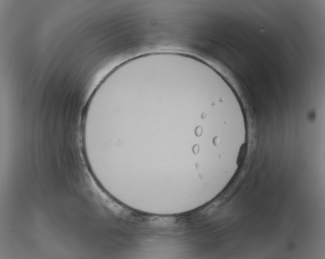 X0000114721006200912021150