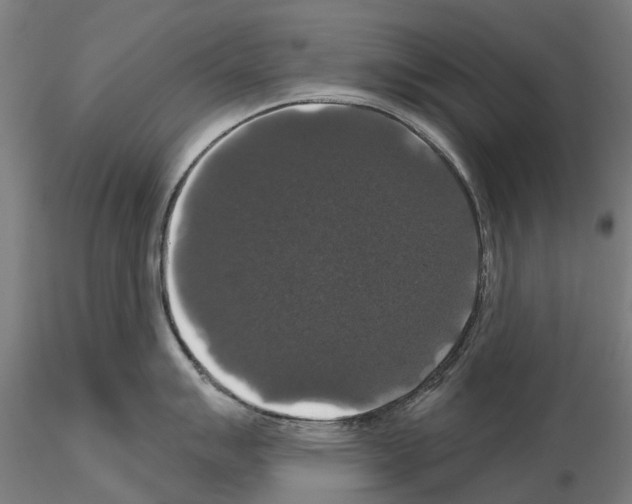 X0000114721007200912021150