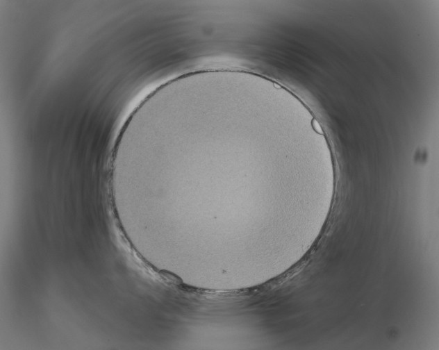 X0000114721008200912021150