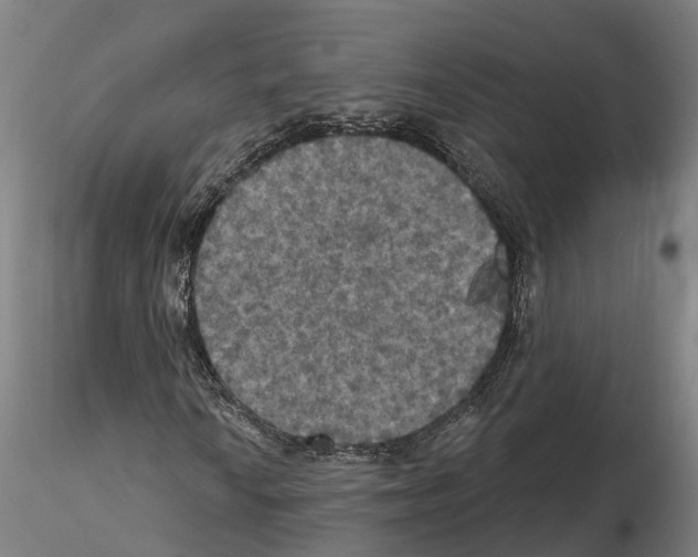 X0000114721010200912021149