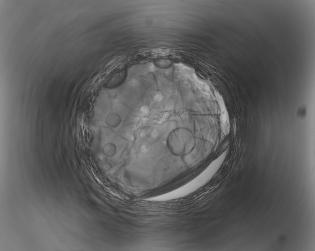 X0000114721011200912021149