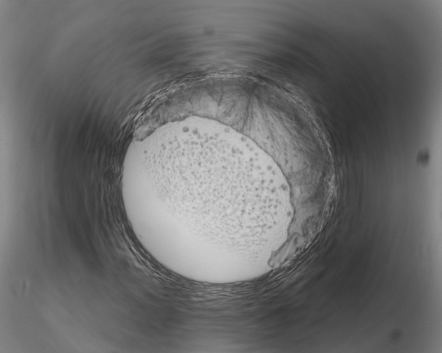 X0000114721012200912021149