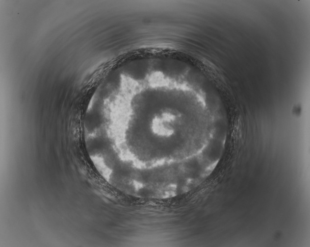 X0000114721014200912021149