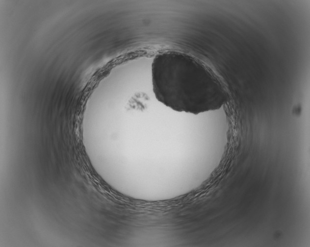 X0000114721016200912021149