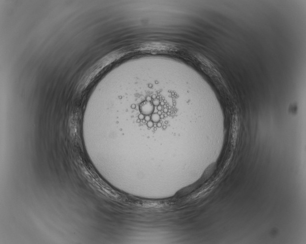 X0000114721017200912021149