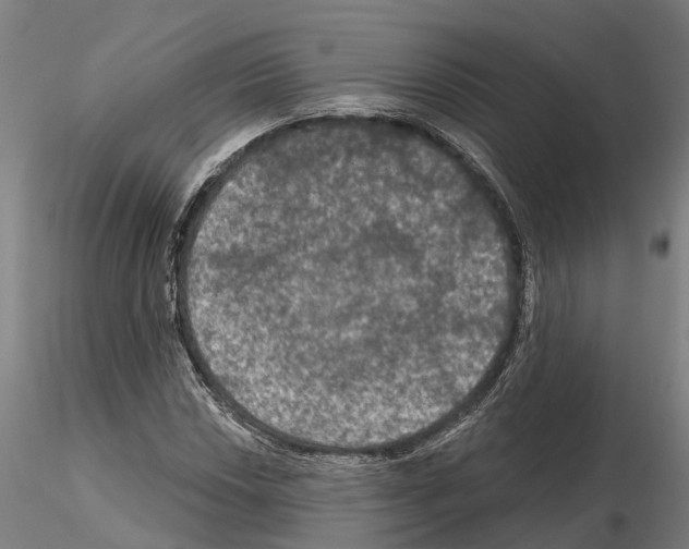 X0000114721018200912021149