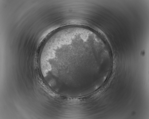 X0000114721019200912021149