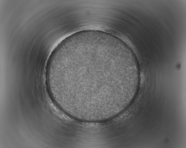 X0000114721020200912021149