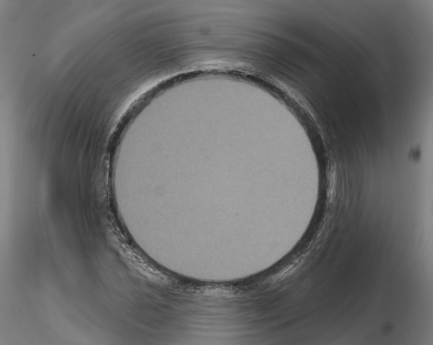 X0000114721021200912021149