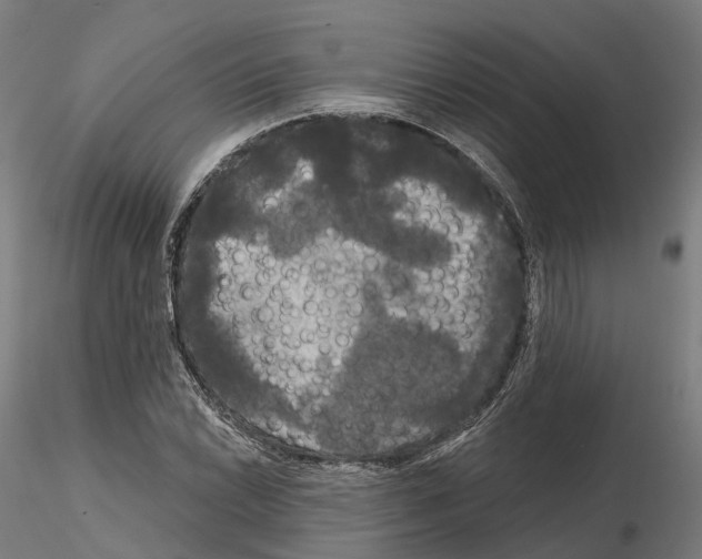 X0000114721022200912021149