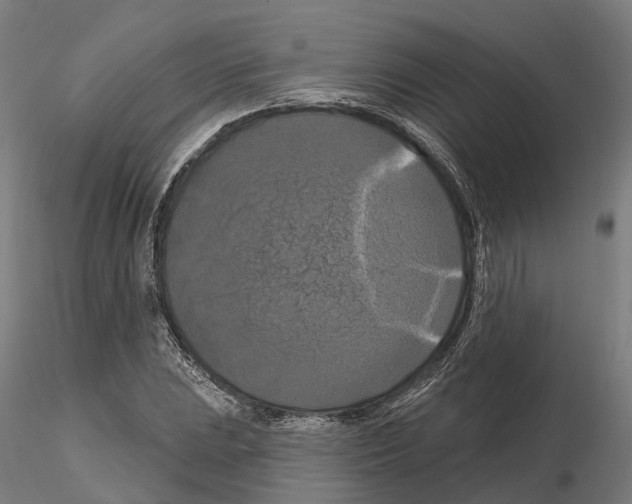 X0000114721023200912021149