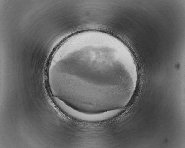 X0000114721024200912021149