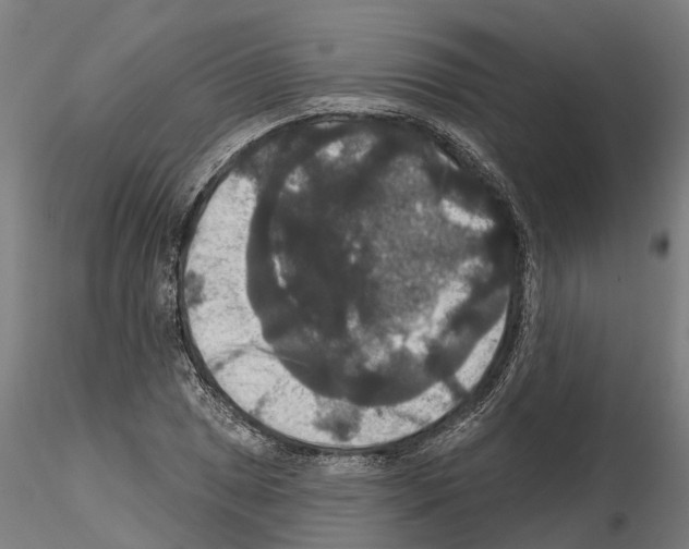 X0000114721025200912021149