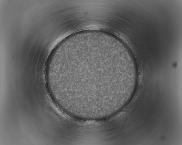 X0000114721026200912021149