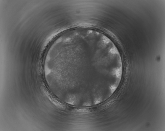 X0000114721027200912021149