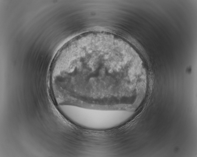 X0000114721028200912021149