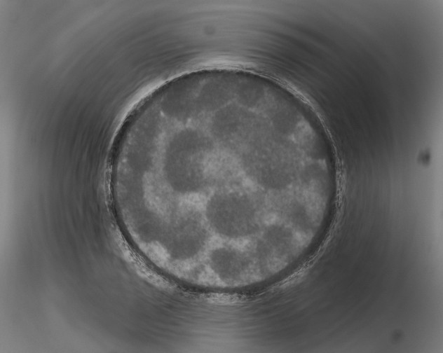 X0000114721029200912021149