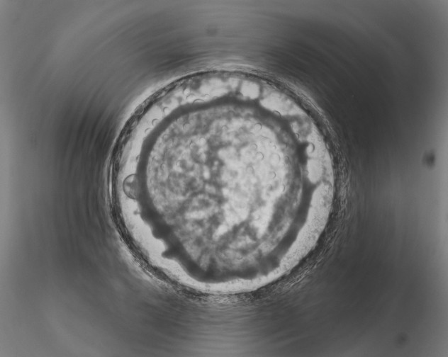 X0000114721032200912021149