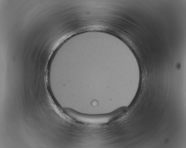 X0000114721034200912021149