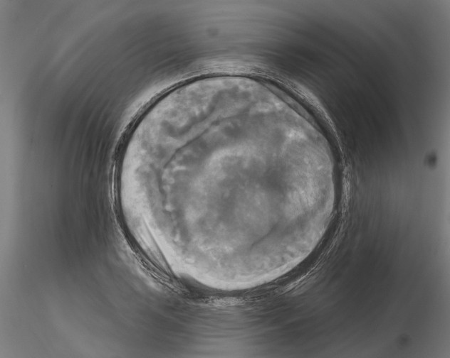 X0000114721035200912021149