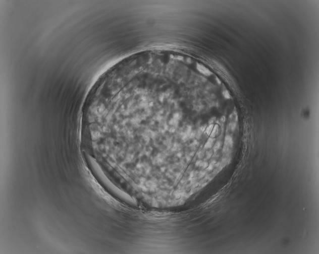 X0000114721036200912021149