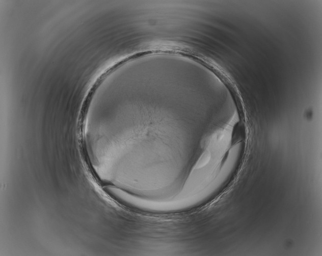 X0000114721037200912021150