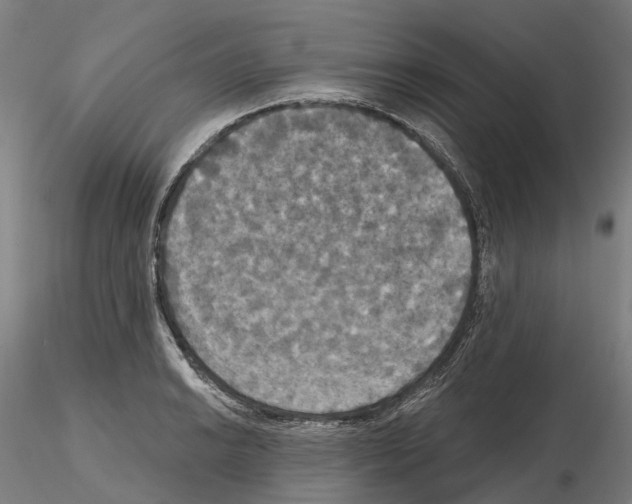 X0000114721038200912021150