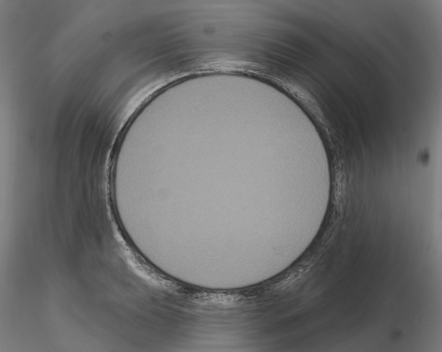 X0000114721039200912021150