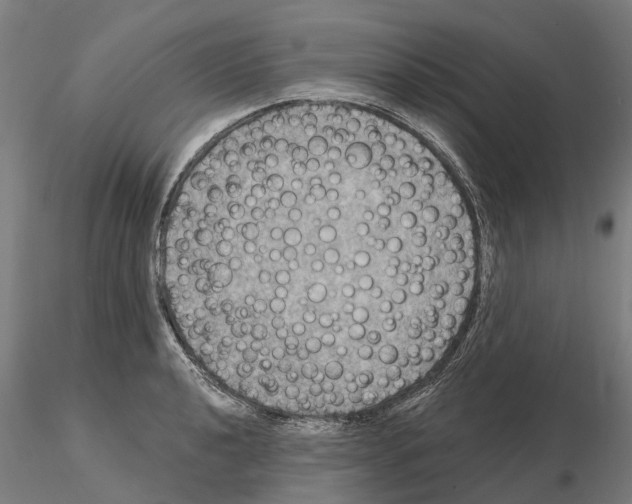 X0000114721040200912021150