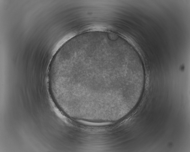 X0000114721042200912021150