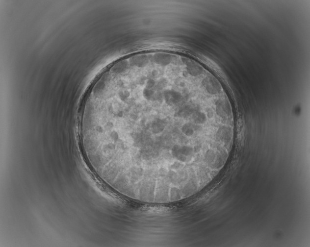 X0000114721043200912021150