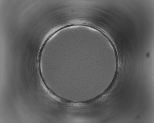 X0000114721045200912021150