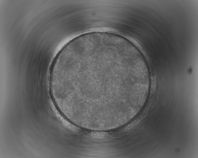 X0000114721046200912021150