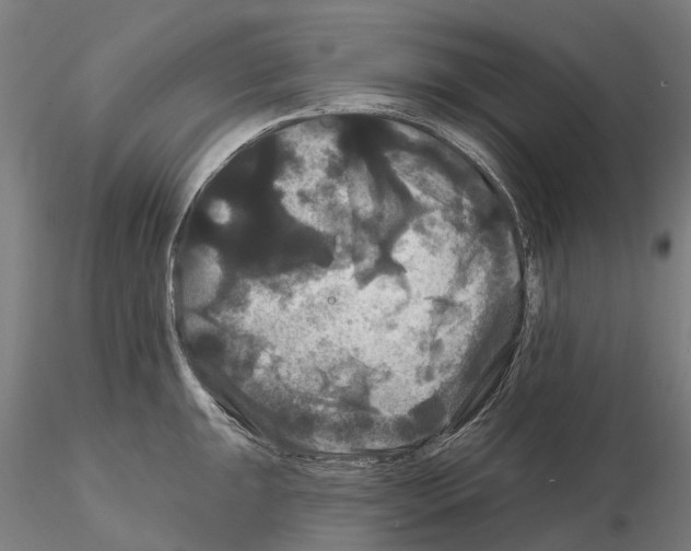 X0000114721047200912021150