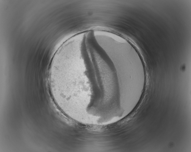 X0000114721048200912021150