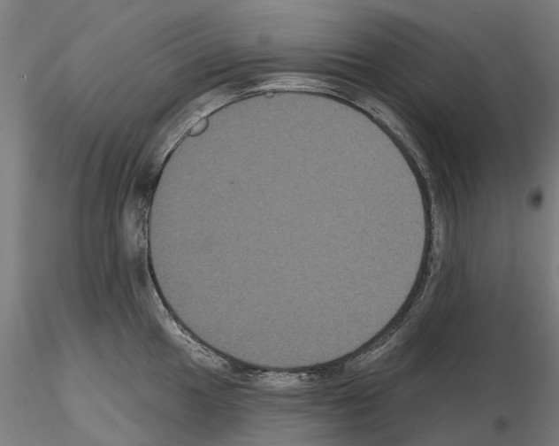 X0000114721049200912021150